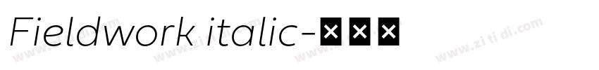 Fieldwork italic字体转换